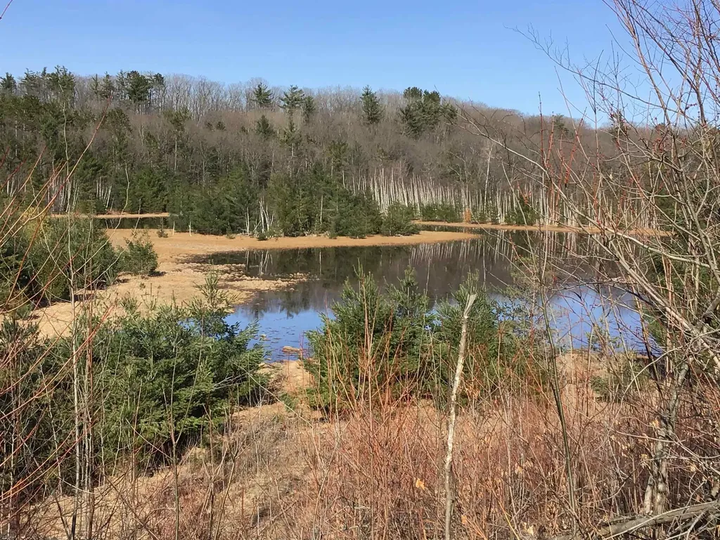 80 Vl Mackinaw Trail Haring Charter Township MI 49601