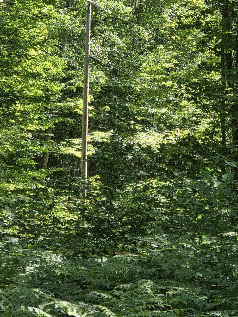 80 Vl Mackinaw Trail Haring Charter Township MI 49601
