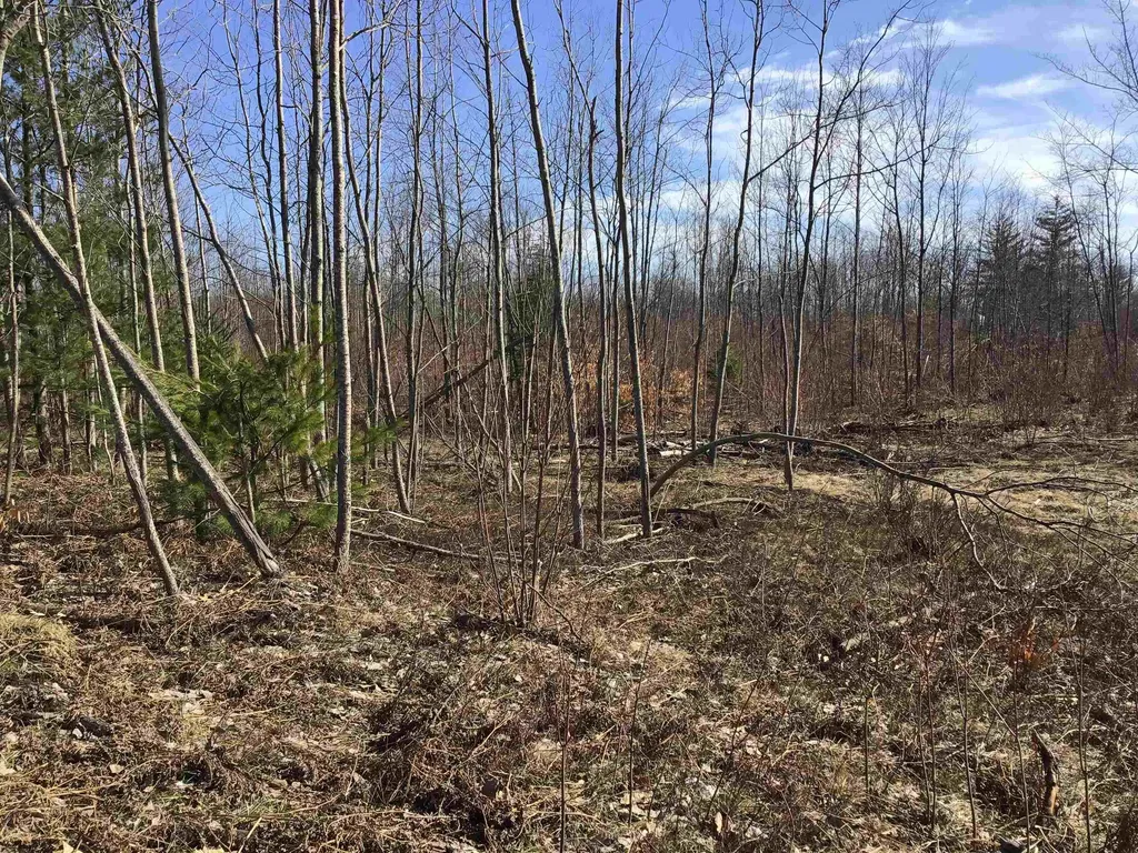 80 Vl Mackinaw Trail Haring Charter Township MI 49601