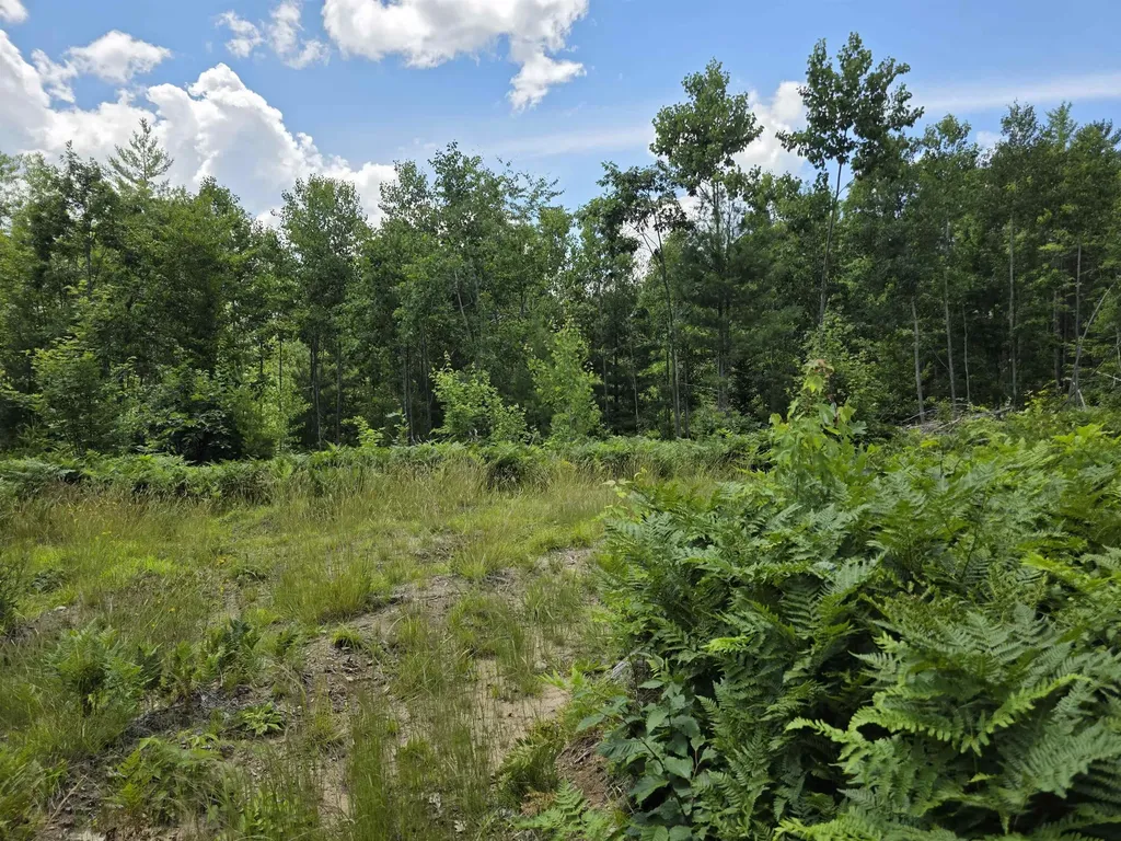 80 Vl Mackinaw Trail Haring Charter Township MI 49601