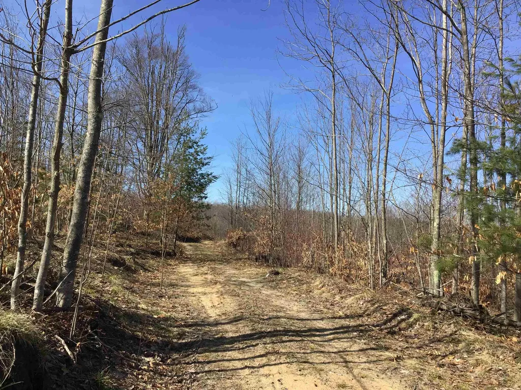 80 Vl Mackinaw Trail Haring Charter Township MI 49601