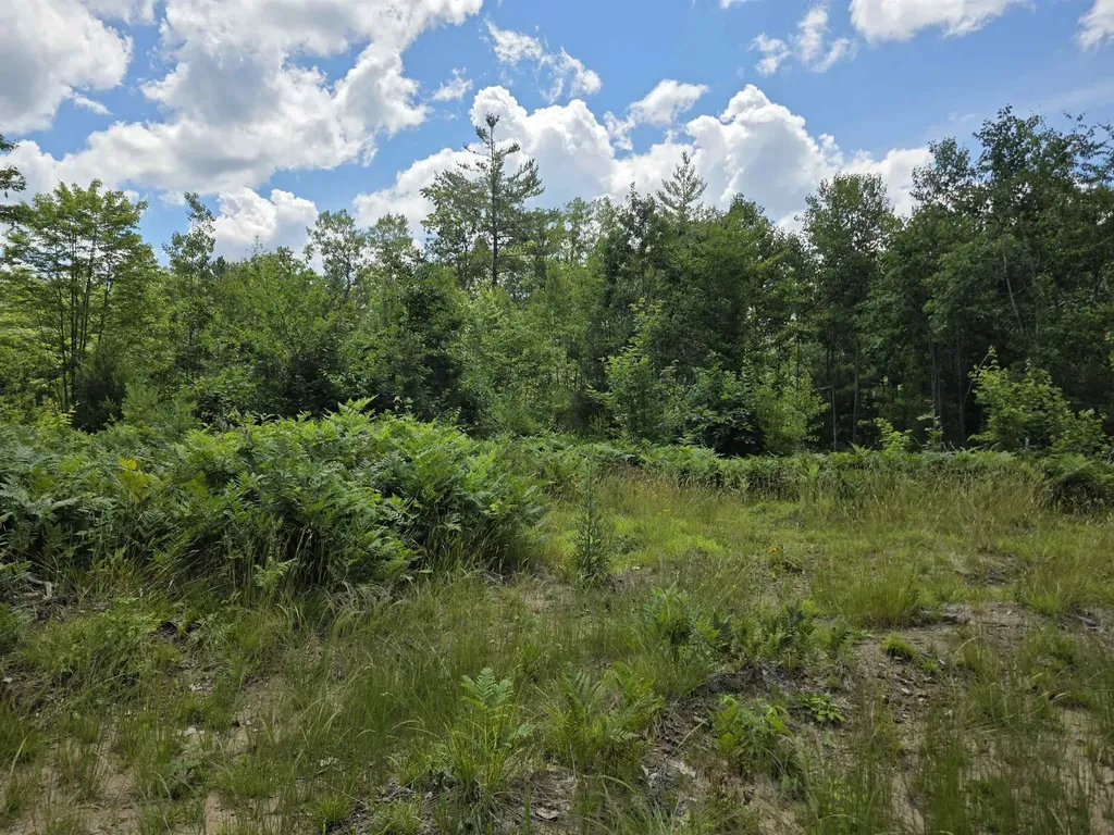 80 Vl Mackinaw Trail Haring Charter Township MI 49601