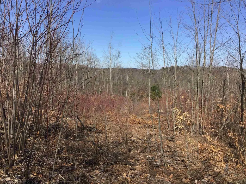 80 Vl Mackinaw Trail Haring Charter Township MI 49601
