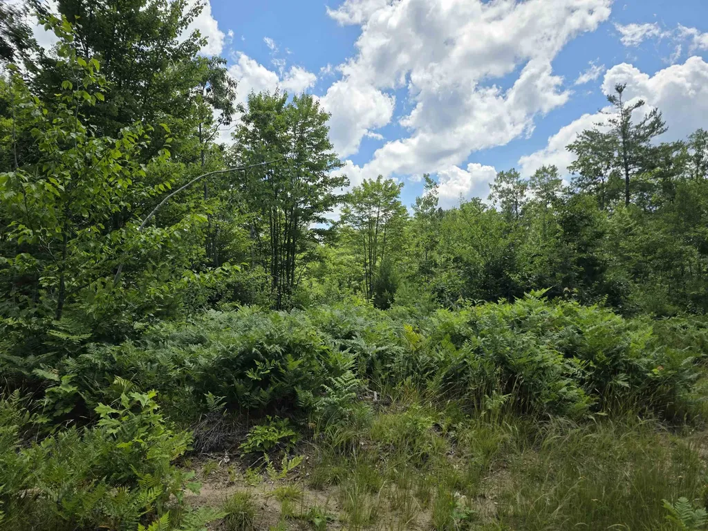 80 Vl Mackinaw Trail Haring Charter Township MI 49601