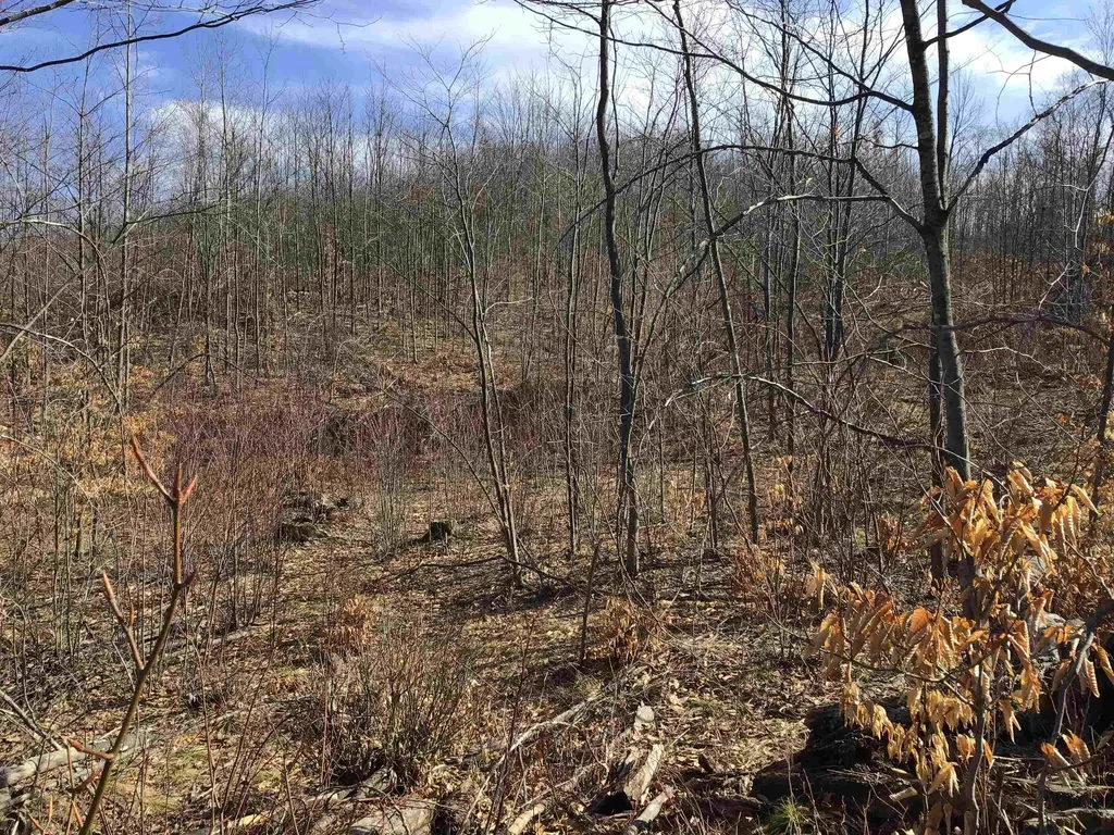 80 Vl Mackinaw Trail Haring Charter Township MI 49601