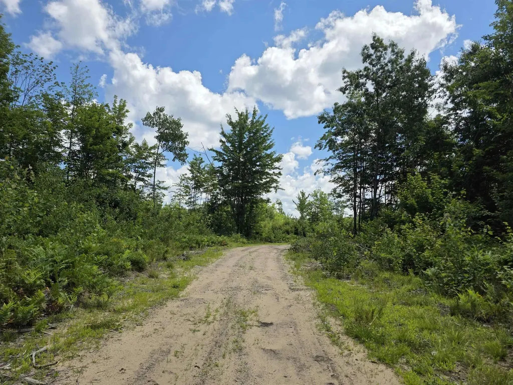 80 Vl Mackinaw Trail Haring Charter Township MI 49601