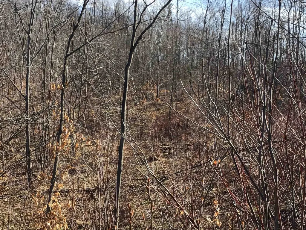 80 Vl Mackinaw Trail Haring Charter Township MI 49601