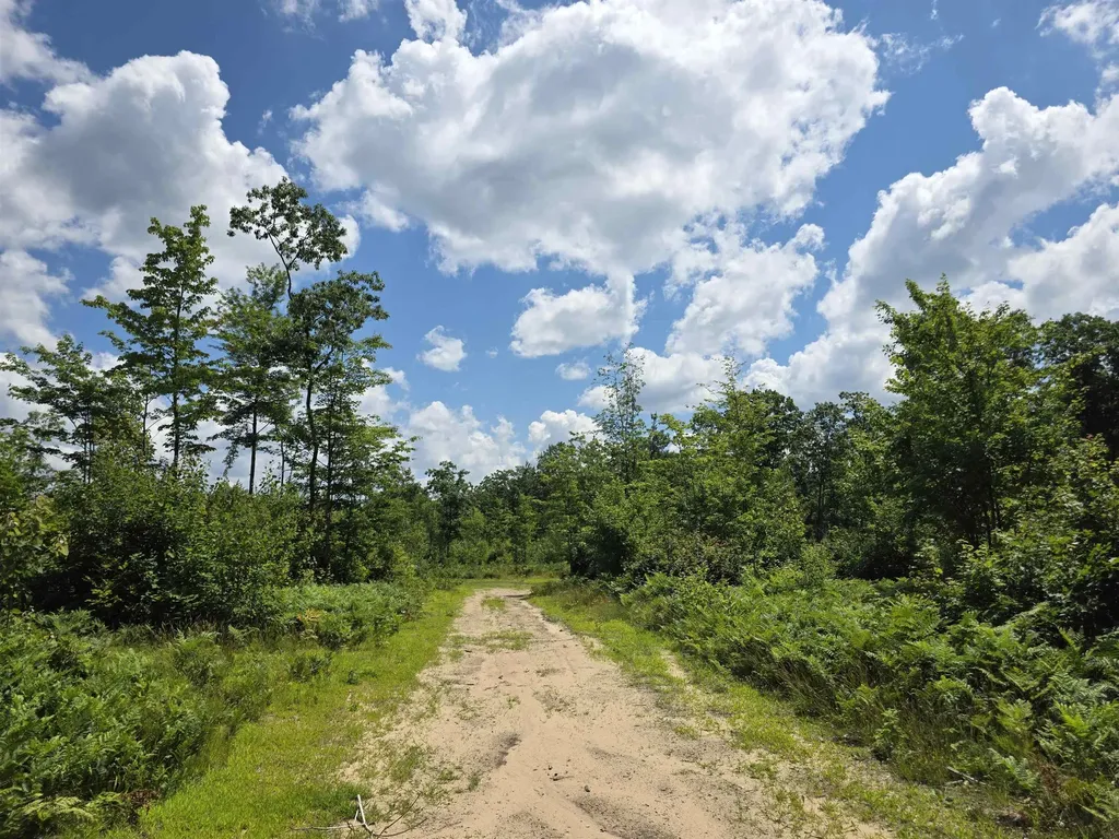 80 Vl Mackinaw Trail Haring Charter Township MI 49601