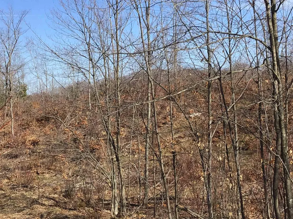 80 Vl Mackinaw Trail Haring Charter Township MI 49601