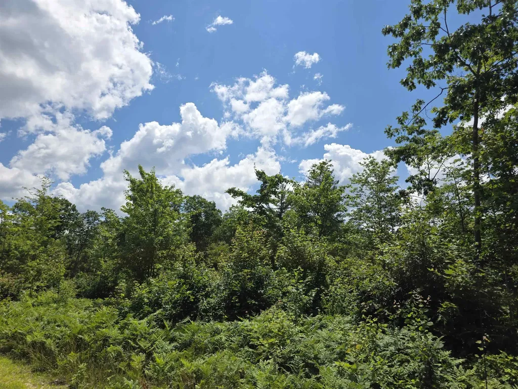 80 Vl Mackinaw Trail Haring Charter Township MI 49601