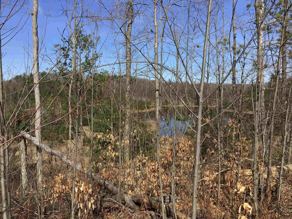 80 Vl Mackinaw Trail Haring Charter Township MI 49601