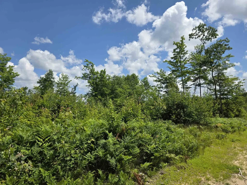 80 Vl Mackinaw Trail Haring Charter Township MI 49601