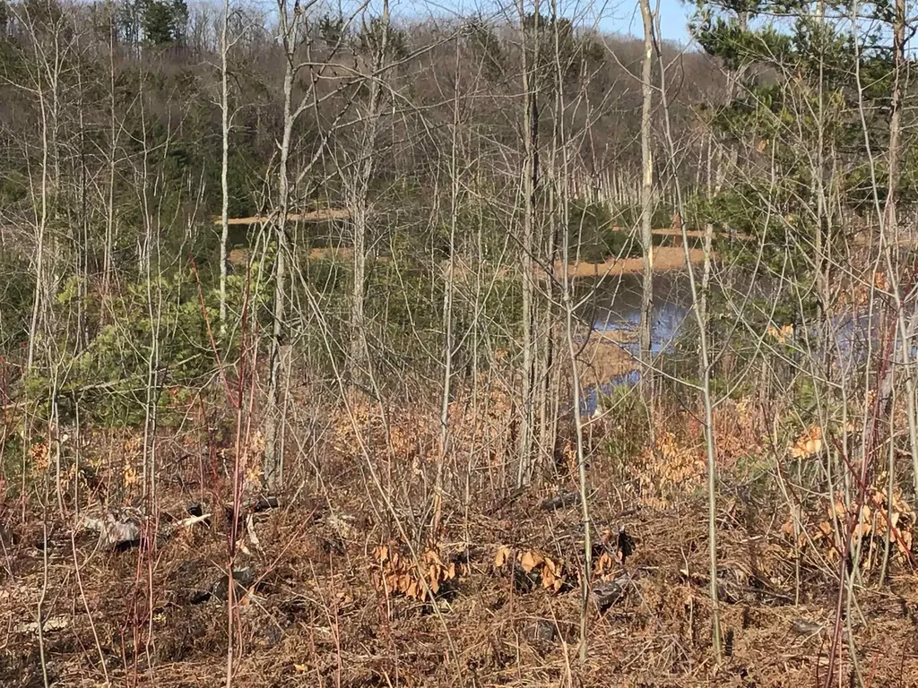 80 Vl Mackinaw Trail Haring Charter Township MI 49601