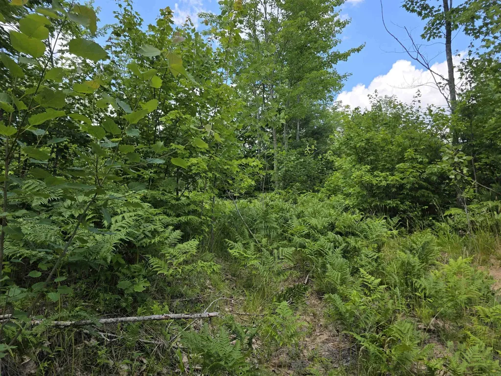 80 Vl Mackinaw Trail Haring Charter Township MI 49601
