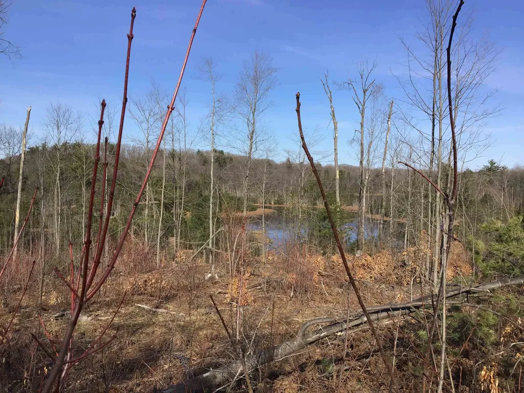 80 Vl Mackinaw Trail Haring Charter Township MI 49601