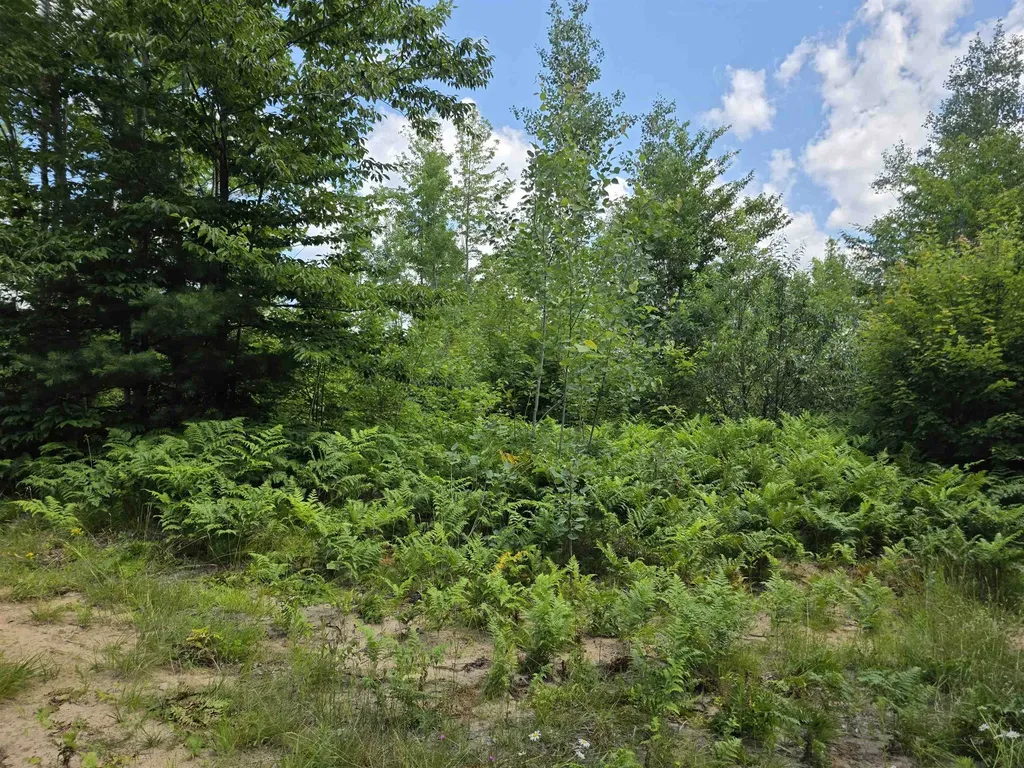 80 Vl Mackinaw Trail Haring Charter Township MI 49601