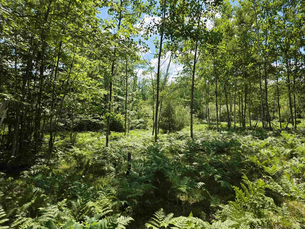 80 Vl Mackinaw Trail Haring Charter Township MI 49601