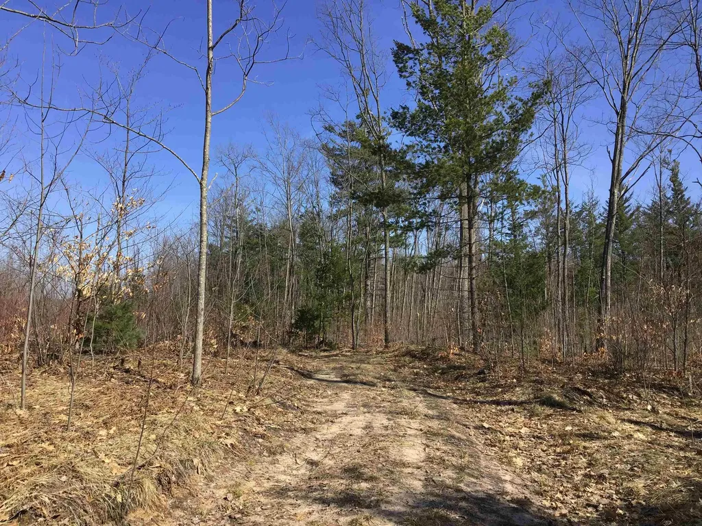 80 Vl Mackinaw Trail Haring Charter Township MI 49601