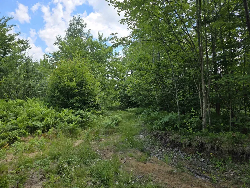 80 Vl Mackinaw Trail Haring Charter Township MI 49601