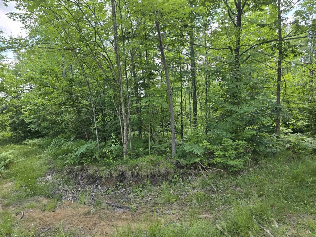 80 Vl Mackinaw Trail Haring Charter Township MI 49601