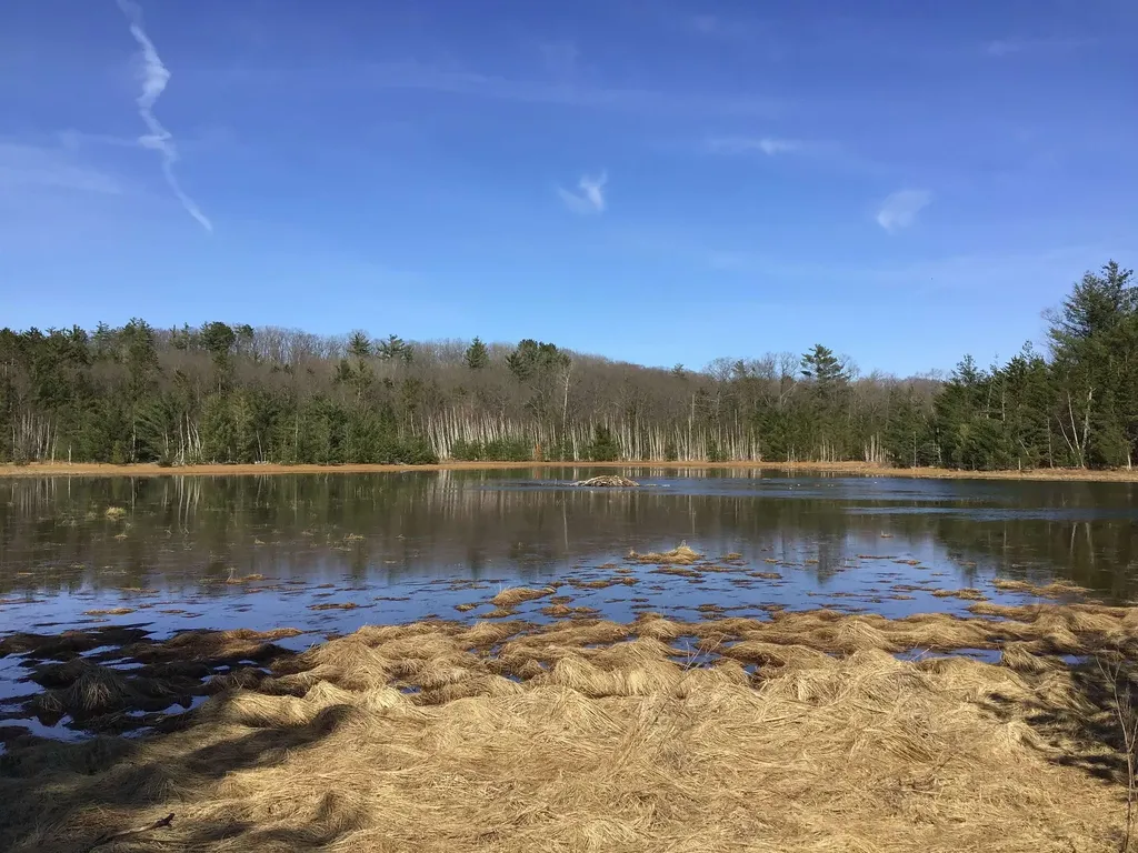 80 Vl Mackinaw Trail Haring Charter Township MI 49601