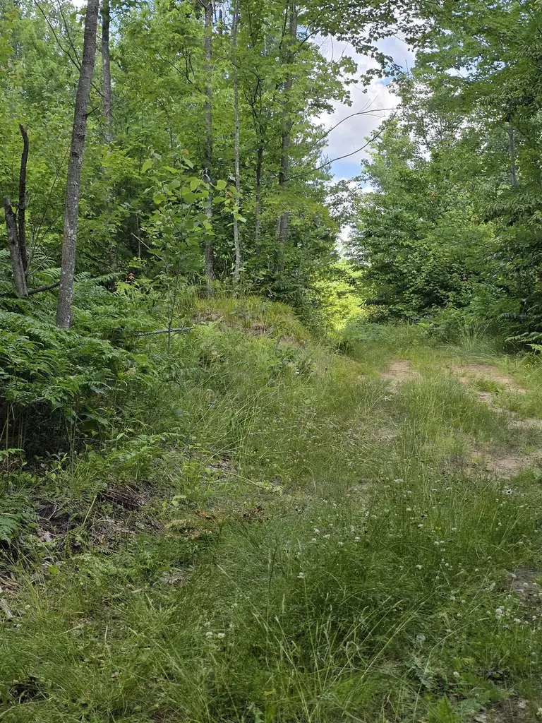80 Vl Mackinaw Trail Haring Charter Township MI 49601