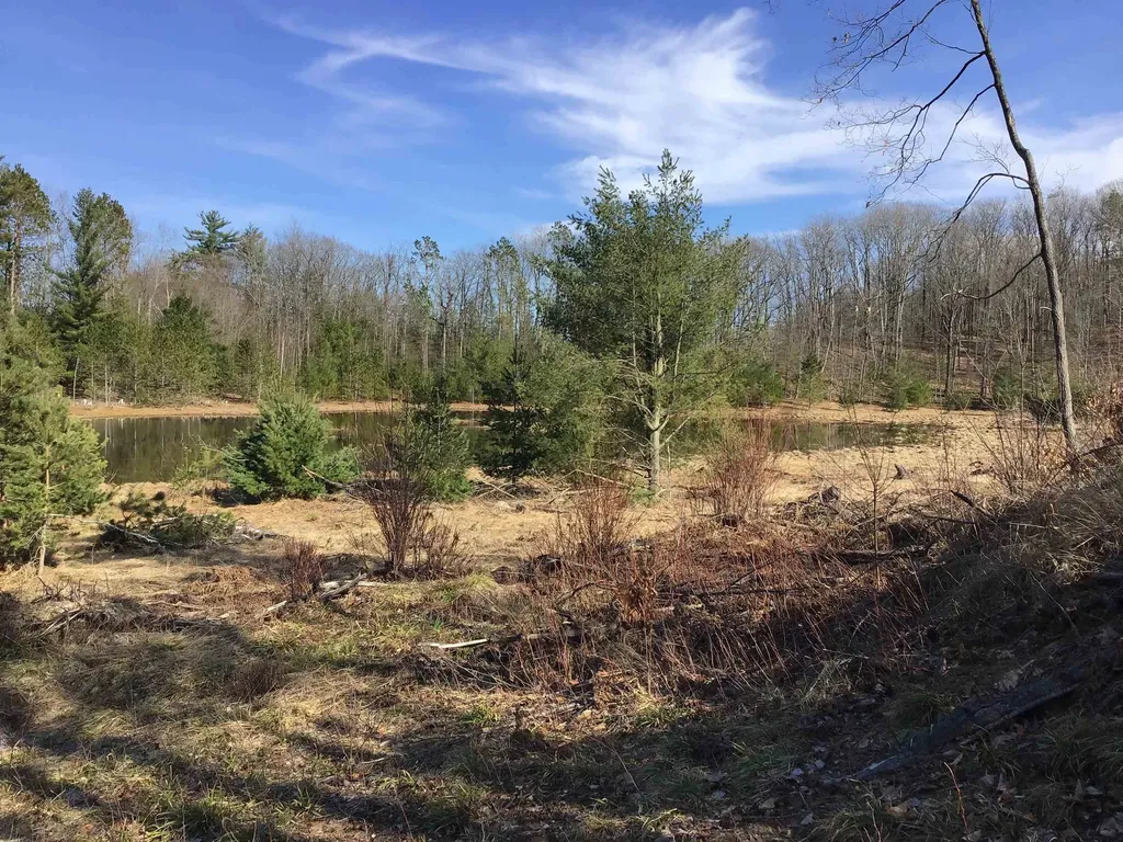 80 Vl Mackinaw Trail Haring Charter Township MI 49601