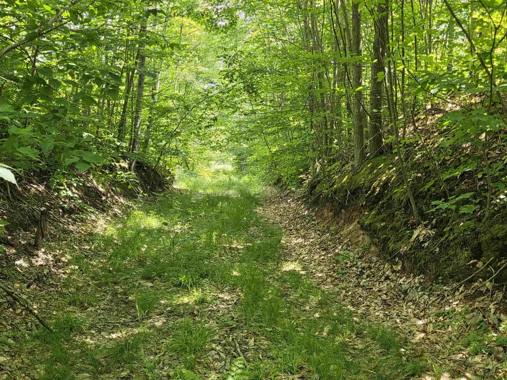 80 Vl Mackinaw Trail Haring Charter Township MI 49601