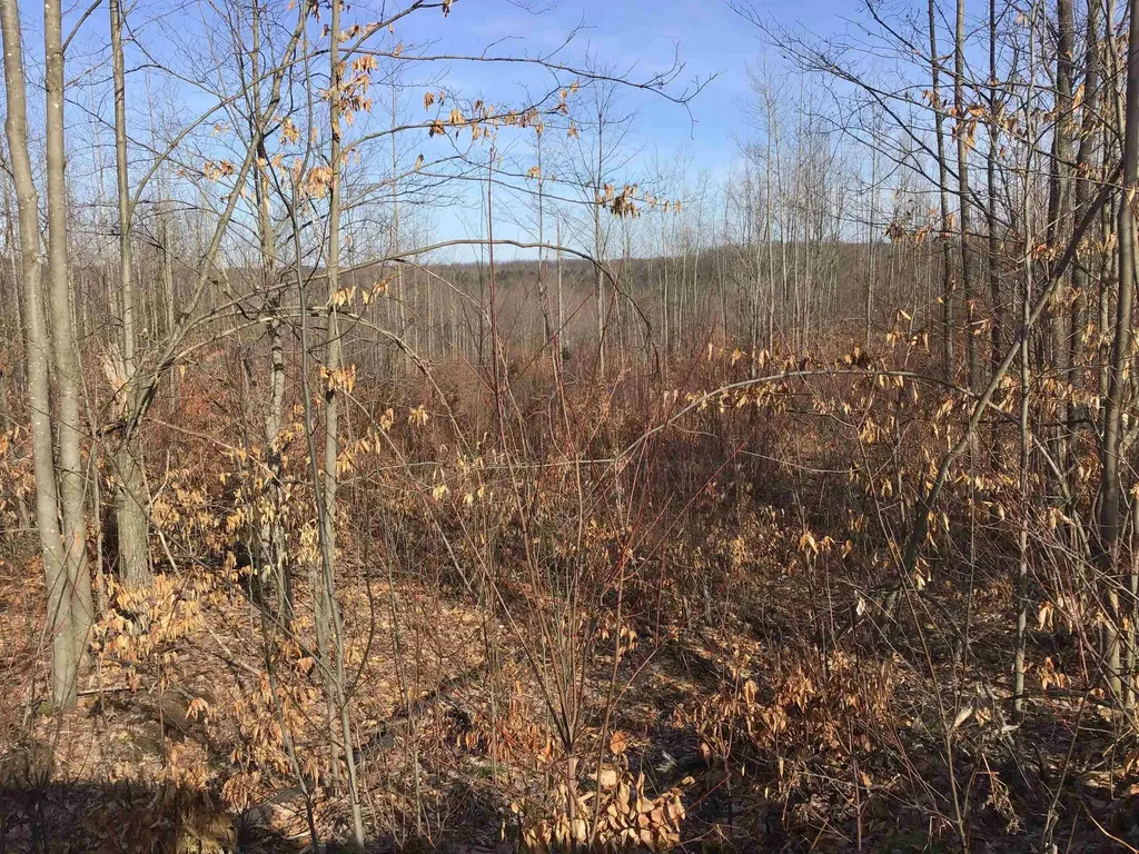 80 Vl Mackinaw Trail Haring Charter Township MI 49601