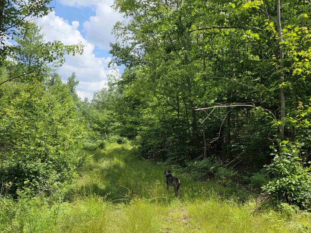 80 Vl Mackinaw Trail Haring Charter Township MI 49601