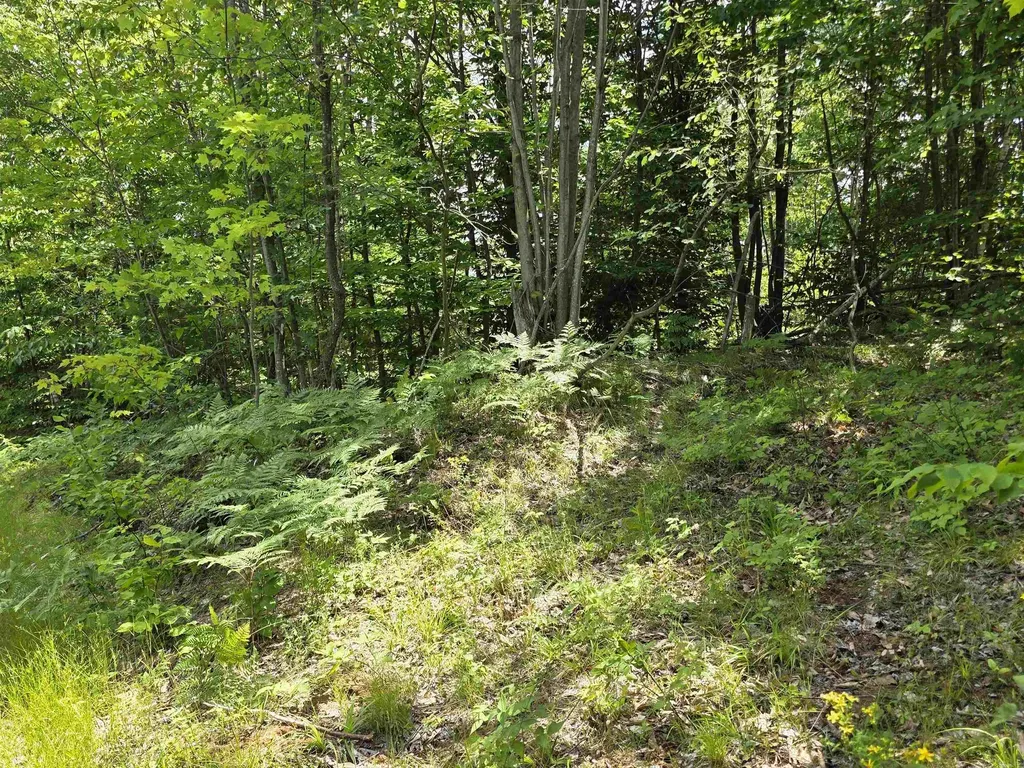 80 Vl Mackinaw Trail Haring Charter Township MI 49601