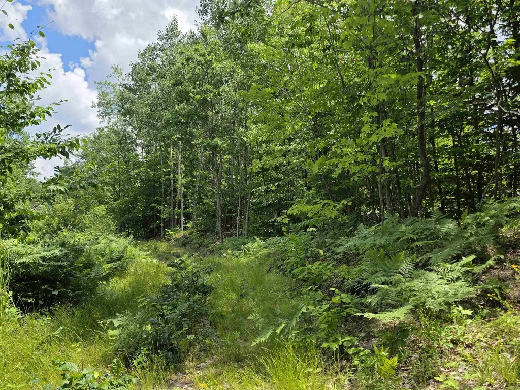 80 Vl Mackinaw Trail Haring Charter Township MI 49601