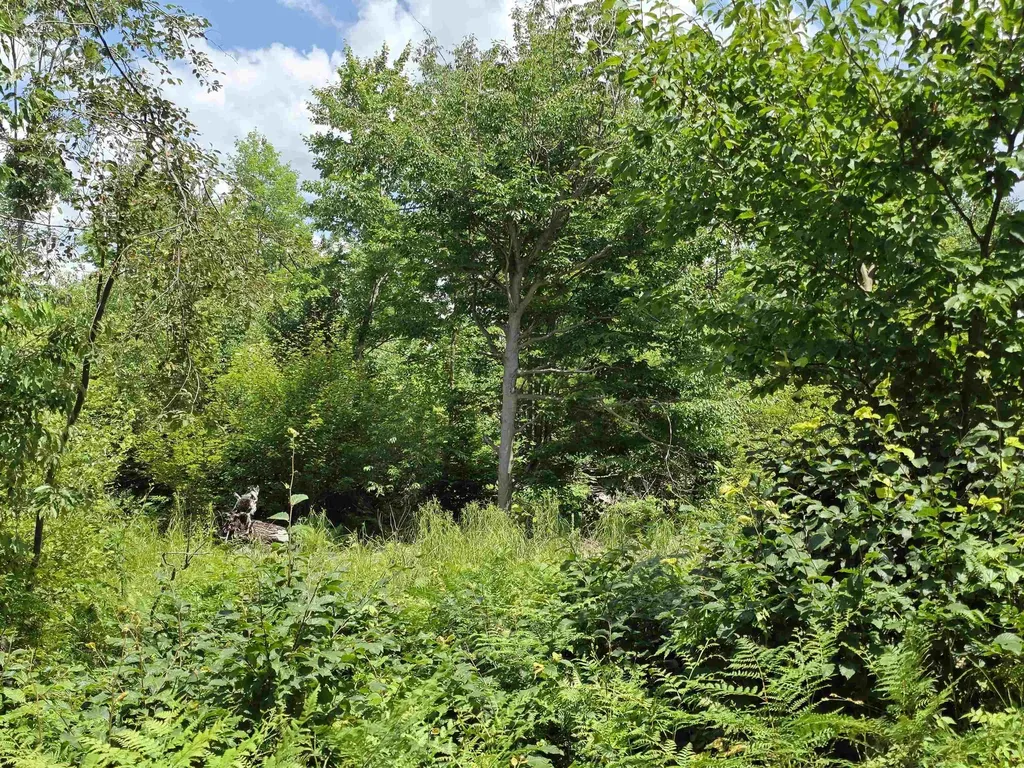 80 Vl Mackinaw Trail Haring Charter Township MI 49601