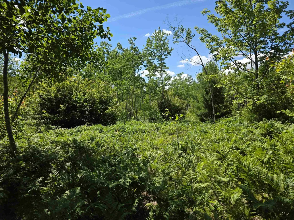 80 Vl Mackinaw Trail Haring Charter Township MI 49601