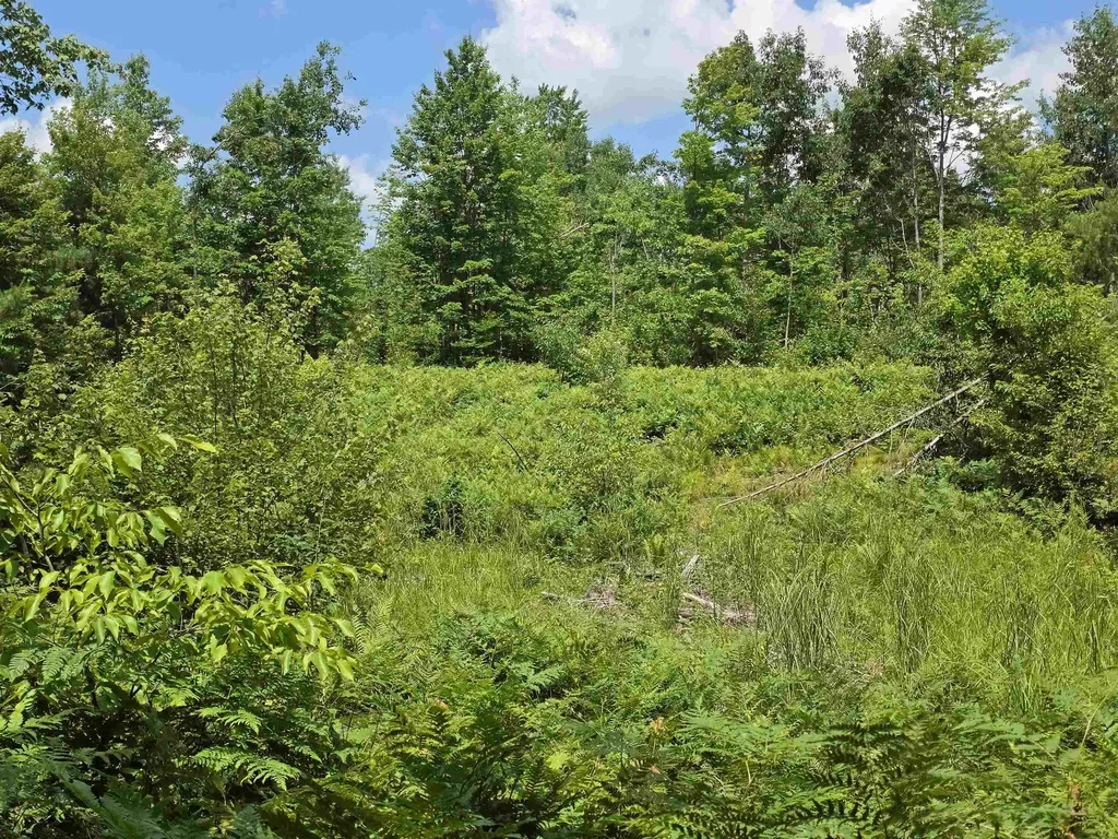 80 Vl Mackinaw Trail Haring Charter Township MI 49601