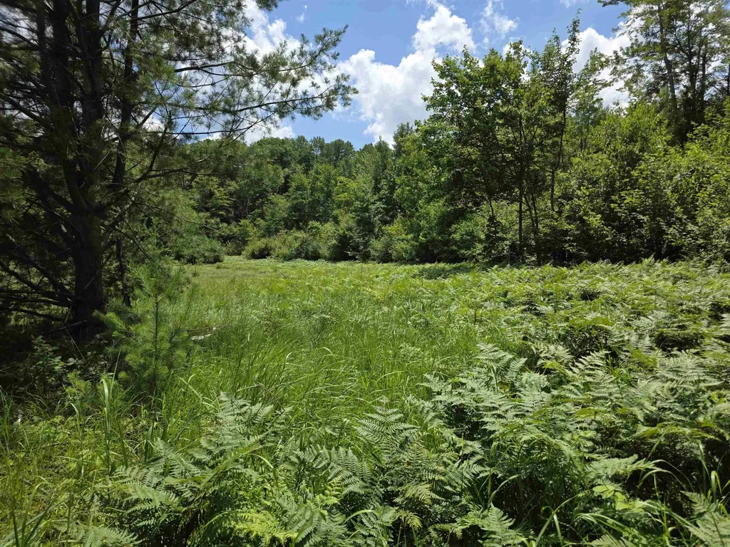 80 Vl Mackinaw Trail Haring Charter Township MI 49601