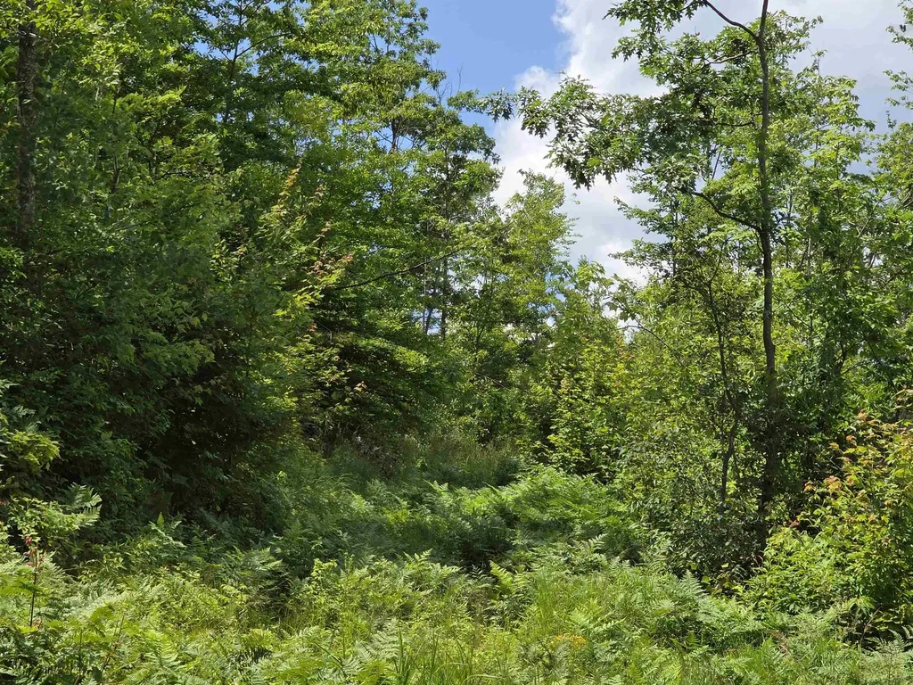 80 Vl Mackinaw Trail Haring Charter Township MI 49601