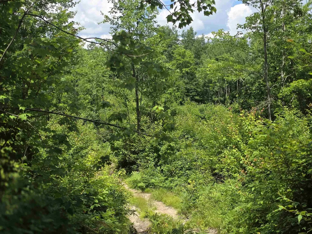 80 Vl Mackinaw Trail Haring Charter Township MI 49601