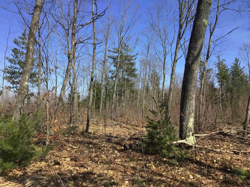 80 Vl Mackinaw Trail Haring Charter Township MI 49601