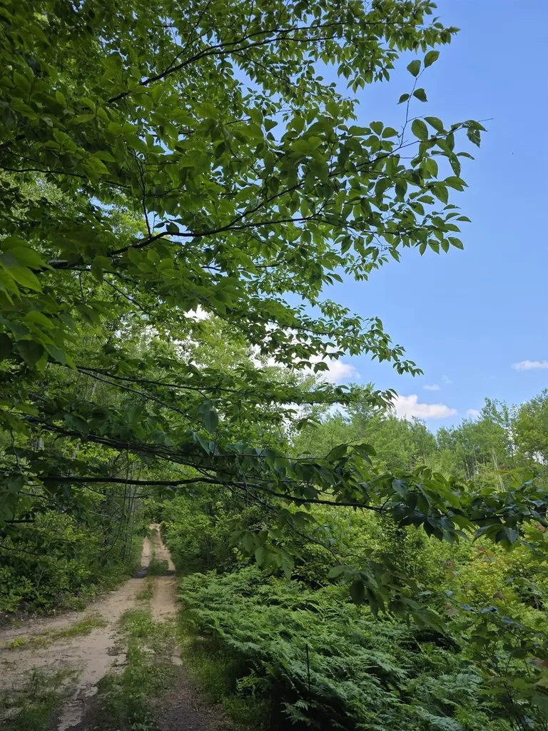 80 Vl Mackinaw Trail Haring Charter Township MI 49601