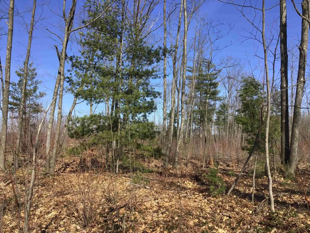 80 Vl Mackinaw Trail Haring Charter Township MI 49601