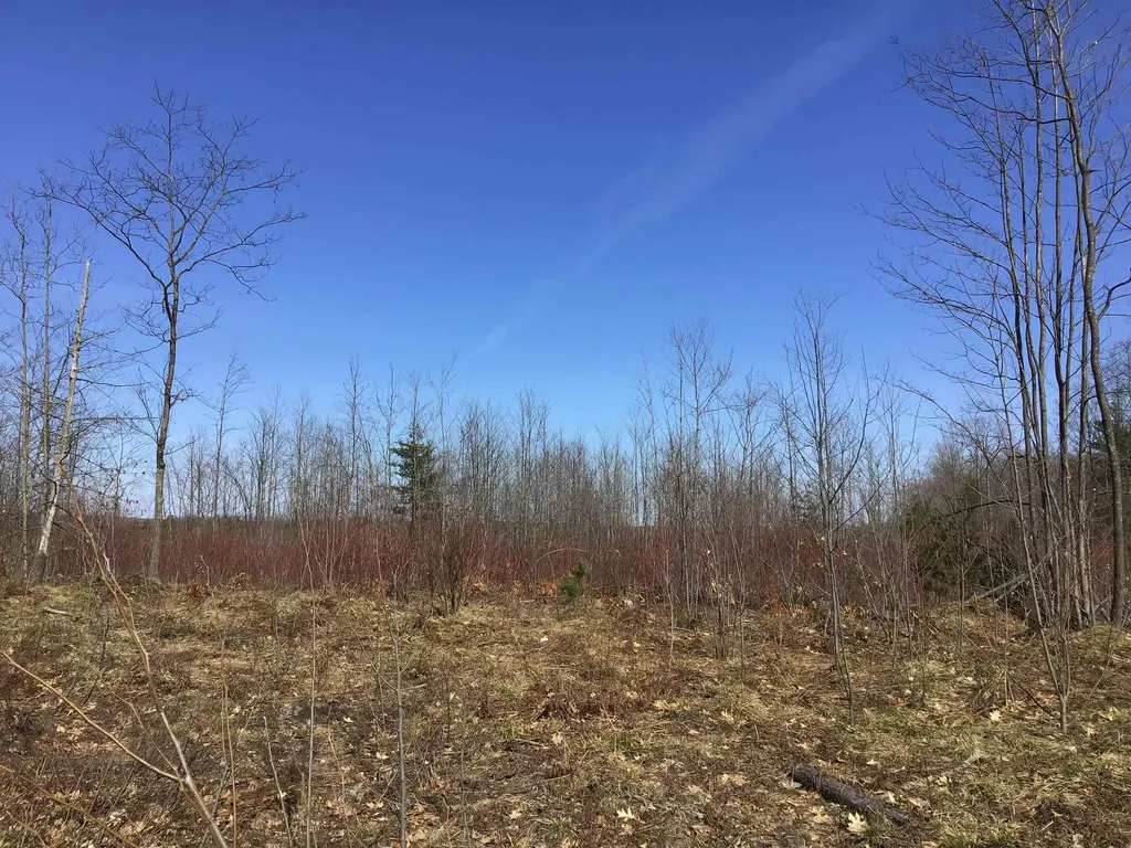 80 Vl Mackinaw Trail Haring Charter Township MI 49601