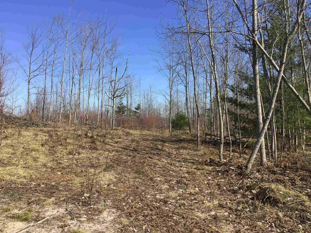 80 Vl Mackinaw Trail Haring Charter Township MI 49601