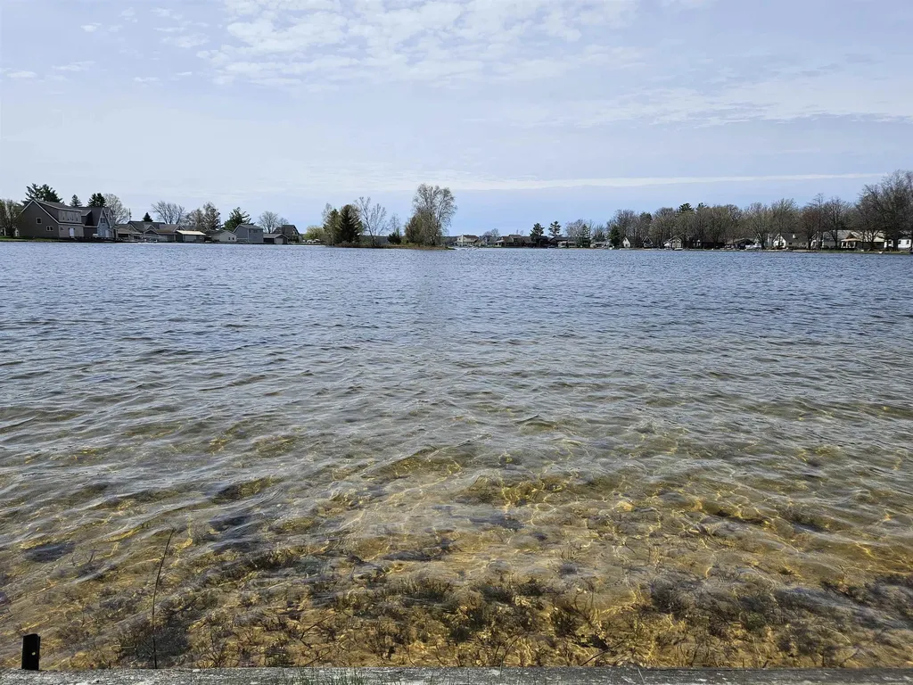 7039 W White Birch Avenue Lake Township MI 49651