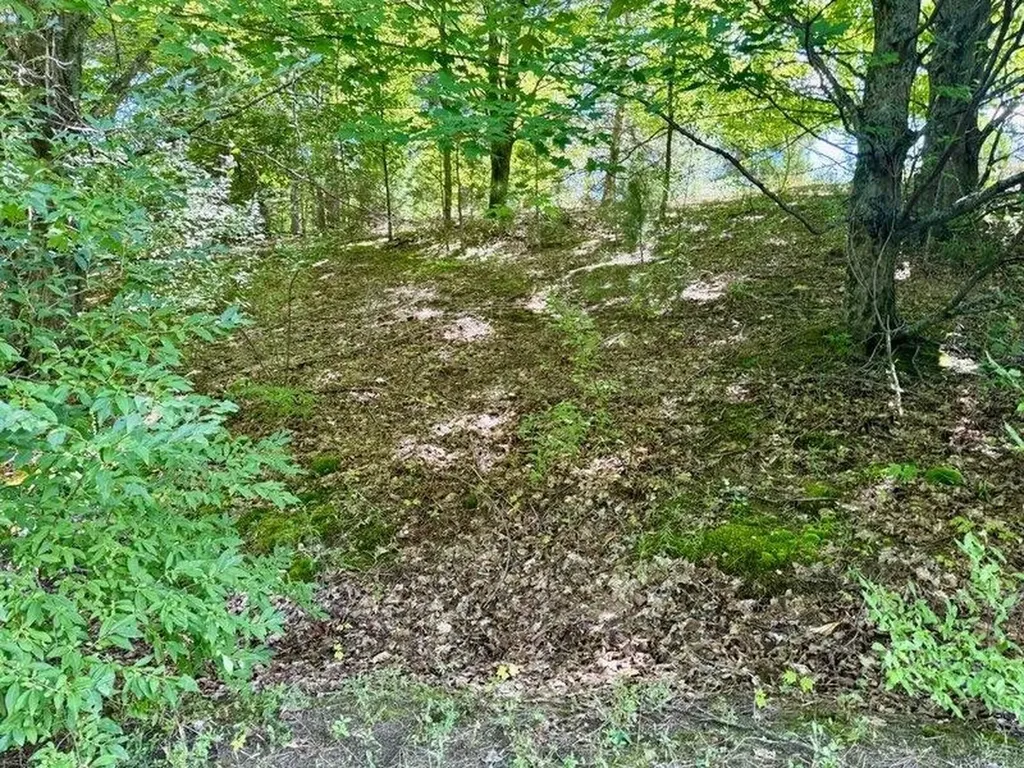 005 E Meander Lane Centerville Township MI 49621