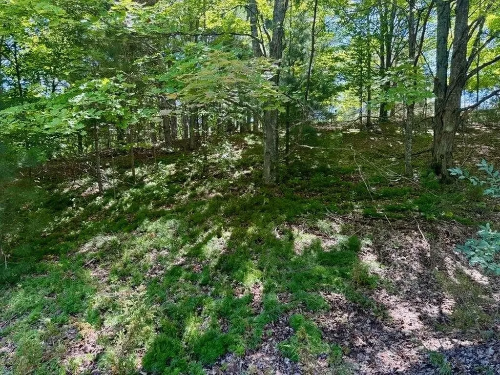 005 E Meander Lane Centerville Township MI 49621