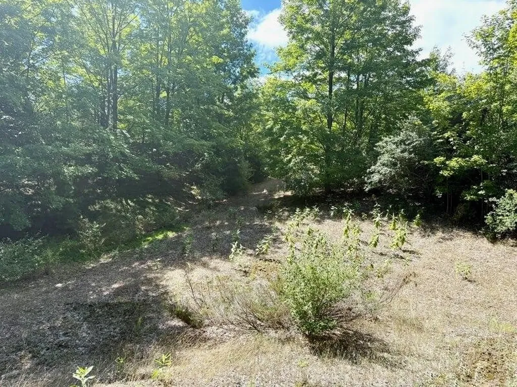 005 E Meander Lane Centerville Township MI 49621