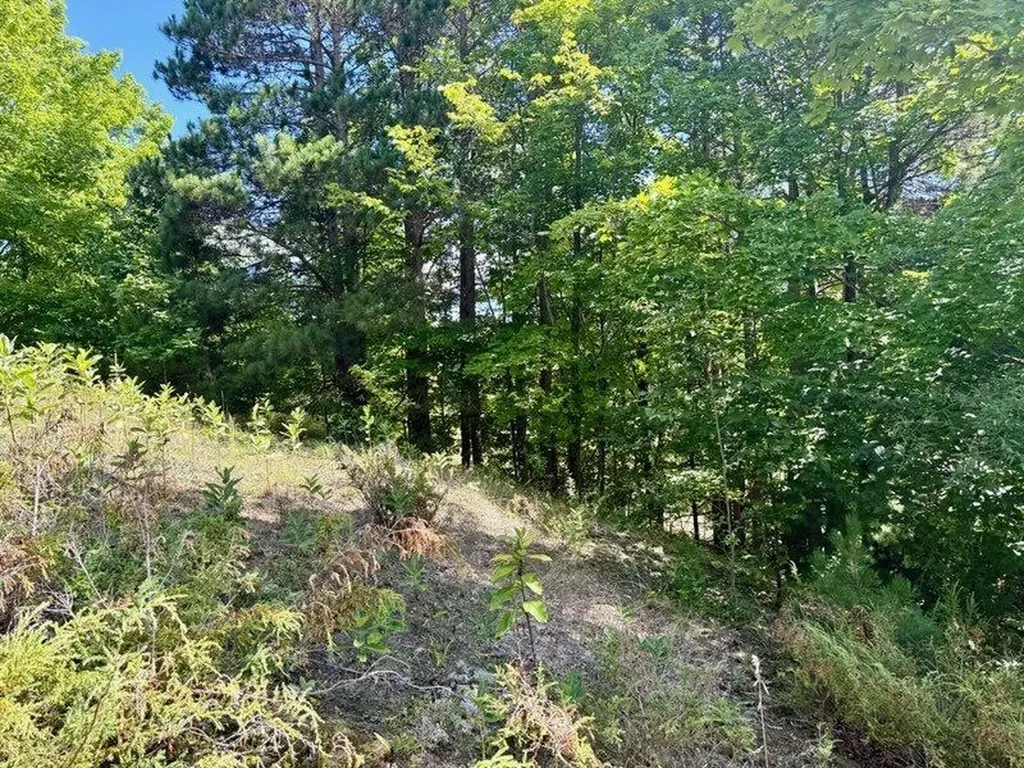 005 E Meander Lane Centerville Township MI 49621