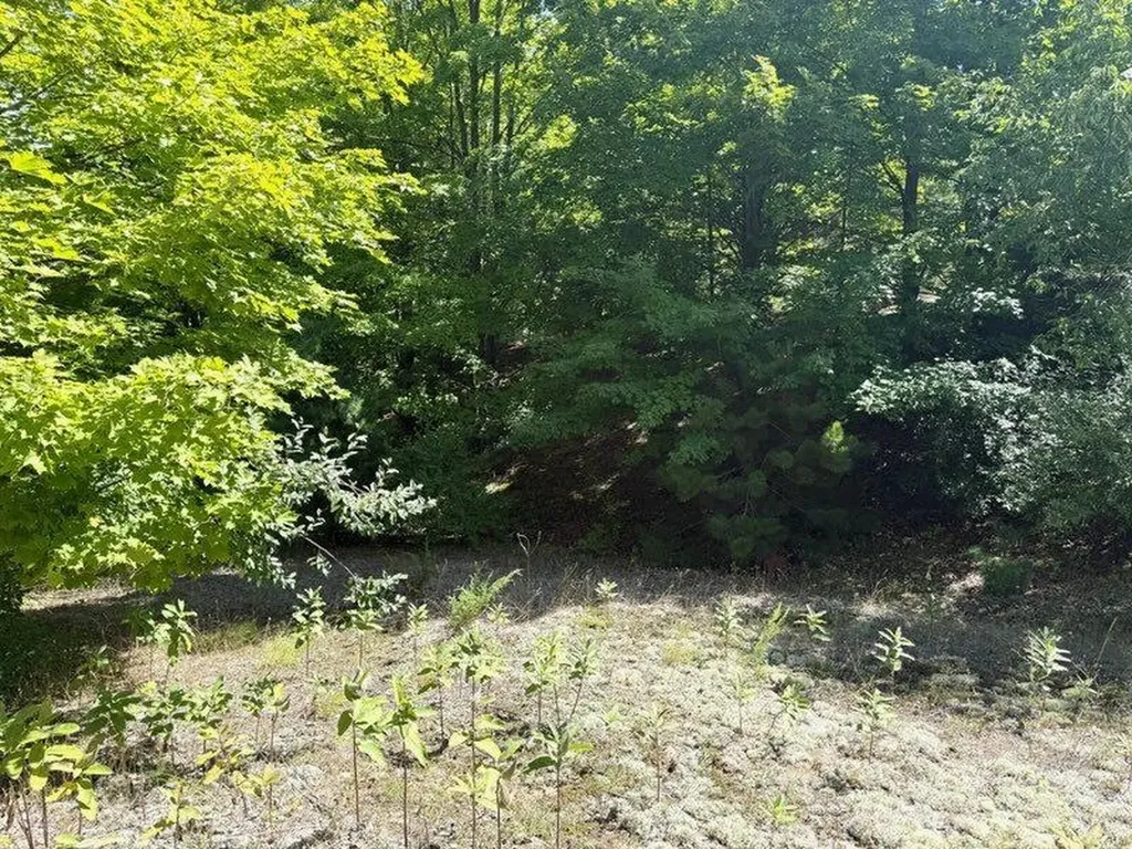 005 E Meander Lane Centerville Township MI 49621