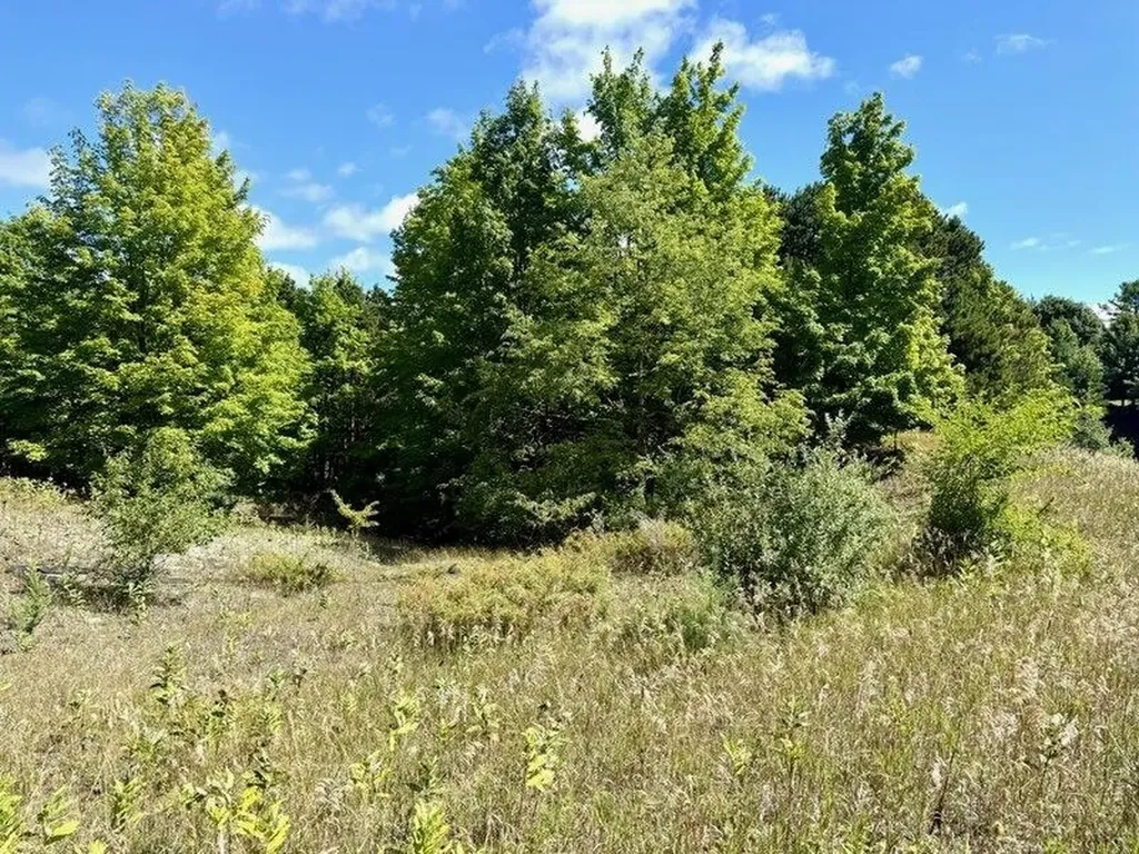 005 E Meander Lane Centerville Township MI 49621